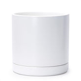 D'vine Dev 10in ceramic planter front view shows sleek white cylinder for stylish indoor display
