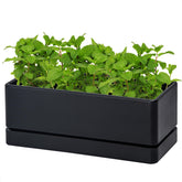 D'vine Dev 12-inch window box planter, front view showing compact herb garden use.