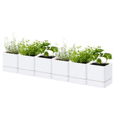 D'vine Dev 4.5-inch herb planter in white, ideal for windowsill herbs.