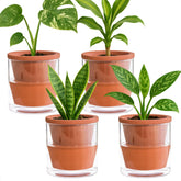 D'vine Dev 4-inch self-watering pot with terracotta and glass cup for tidy indoor moisture.