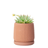 D'vine Dev 4-inch terracotta beaded planter front view with drainage holes for plants.
