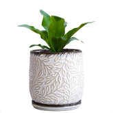 D'vine Dev 5inch embossed leaves planter with drainage hole for healthy watering
