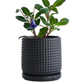 D'vine Dev 6-inch ebony matte ceramic planter with beaded texture for indoor style