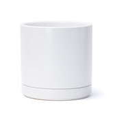 D'vine Dev 8.2-inch ceramic planter with saucer for indoor use
