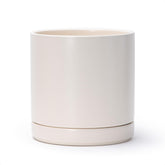 D'vine Dev 8.2-inch ceramic planter with saucer for tidy indoor display