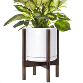 D'vine Dev ceramic planter 10in with walnut stand, ideal for stylish indoor greenery.