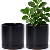 D'vine Dev ceramic plant pot 6.5-inch black, sleek design for stylish indoor gardens