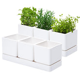 D'vine Dev herb planter set 2—compact pots with tray for windowsill herb garden