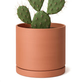 D'vine Dev medium terracotta pot with drainage hole for healthy indoor plants.