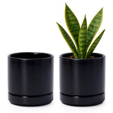 D'vine Dev plant pot 4-7 inch black with drainage hole for healthy roots