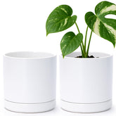 D'vine Dev 6.5-inch white ceramic plant pot with drainage hole for healthy roots.