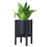 D'vine Dev Planter 8-inch pot with matte finish for indoor greenery.