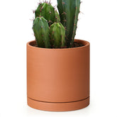 D'vine Dev small 6-inch terracotta pot with drainage hole and saucer for healthy indoor plants.