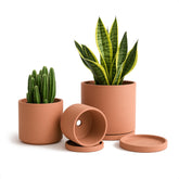 D'vine Dev terracotta pot 4.2-inch with drainage holes for succulents.
