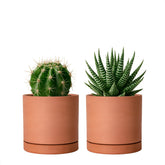 D'vine Dev X-Small terracotta pot with drainage hole, ideal for small indoor planters.