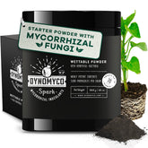 DYNOMYCO Spark WP for seed starting promotes robust seed germination and early root establishment.