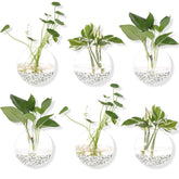 DZHJKIO wall-hanging glass planter round 6-pack for space-saving indoor greenery