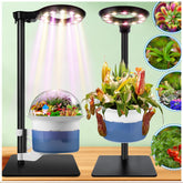 E SUPEREGROW Venus Fly Trap terrarium dome for a compact carnivorous garden.