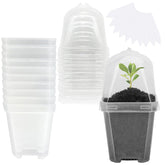 EBaokuup 3-inch clear pot with humidity dome for seedling moisture control.