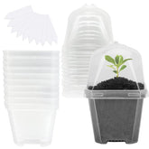 EBaokuup 4-inch clear nursery pot with humidity dome for seedling care.