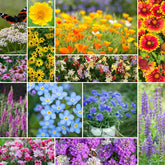 Eden Brothers deer resistant wildflower seeds pack front view for quick spring planting.
