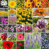Eden Brothers Northeast wildflower seeds pack close-up for a pollinator-friendly garden