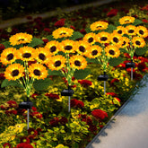 EDOF sunflower lights 24-pack illuminate garden borders with a warm, solar-powered glow.