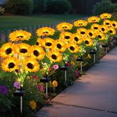 EDOF sunflower lights 6-pack glows along garden path, creating inviting evening ambiance.