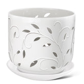 EFISPSS Orchid Pot with holes, 7-inch diameter promotes airflow for orchids