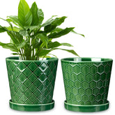 EFISPSS 6-inch pot with conical stripes adds modern elegance to any room.
