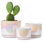 EFISPSS 4-inch rainbow glaze plant pot for bright tabletop greenery.