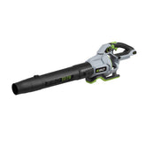 EGO POWER+ LB6500 turbo mode delivers 650 CFM for heavy debris.