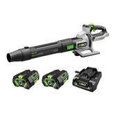 EGO Power+ leaf blower turbo mode demonstrates powerful debris clearing in tough conditions.