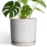 Eightpot ceramic planter 10-inch front view in a bright room for stylish indoor decor.