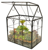 ElegantLife glass house terrarium with lift-off roof for easy plant arrangement.