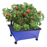 Emsco City Picker raised bed on casters for easy mobility and sun tracking
