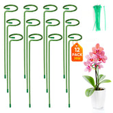 EOMEOH plant stake with rings supports stems for upright growth and easy pruning.