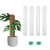 EOX 15-inch moss pole D-shape supports Monstera growth with secure root contact.