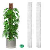EOX 36-inch D-shaped moss pole supports Monstera vertical growth