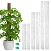 EOX moss pole 24-inch in-pot setup promotes vertical growth for climbing plants.