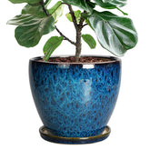 EPFamily 10-inch ceramic planter in blue glaze, ideal for indoor display.
