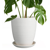 EPFamily 8-Inch ceramic planter with white glaze and saucer for indoor decor.
