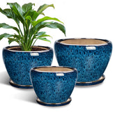 EPFamily blue ceramic planters 6-inch diameter showing drainage holes for healthy roots