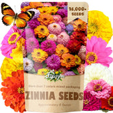 EquSym 16000+ zinnia seeds collection for vibrant garden displays