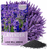 EquSym lavender-seeds-3800 bulk: high germination potential for lush garden beds.