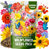 EquSym wildflower mix seeds in a 4oz bag for effortless garden color.