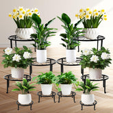 ESRICH multi-size plant stand collection offers versatile heights for indoor and outdoor plants
