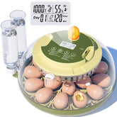 Etegow 18 Egg Incubator front view with precise temperature and humidity monitoring.