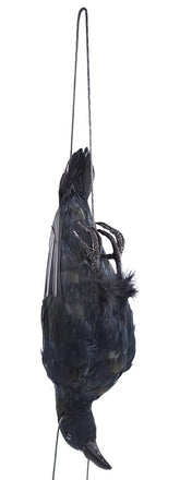 Etistta crow decoy hanging side view shows realistic silhouette for garden deterrence.