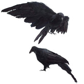 Etistta realistic crow on stand adds eerie realism to Halloween display